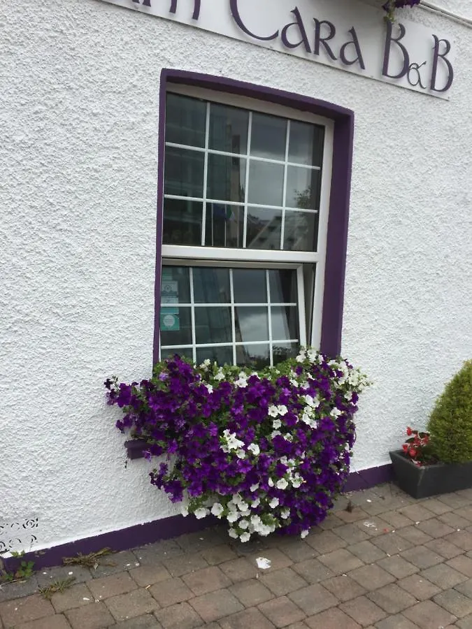 Anam Cara B&B Cork 0*,  Ireland